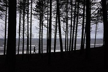 Ustka  Polen  Silhouette: Frau geht am Rande eines Waldes an der Ostsee entlang