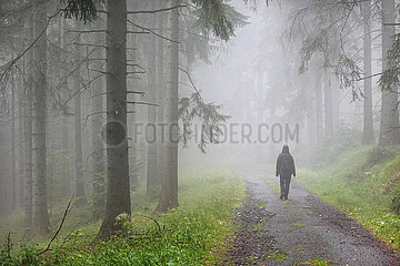 Przesieka  Polen  Frau laeuft allein durch einen nebelverhangenen Wald