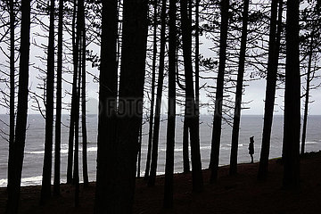 Ustka  Polen  Silhouette: Frau steht am Rande eines Waldes und schaut auf die Ostsee