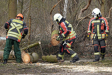 Neuenhagen  Deutschland  Feuerwehrmaenner raeumen einen gefaellten Baum von einem Gehweg