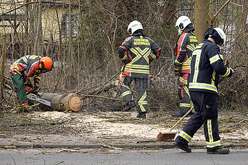 Neuenhagen  Deutschland  Feuerwehrmann zersaegt einen gefaellten Baum