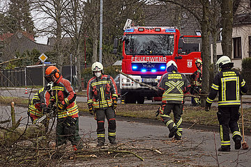 Neuenhagen  Deutschland  Feuerwehrmaenner raeumen in der Lindenstrasse nach dem Sturmtief Ylenia einen gefaellten Baum von der Strasse