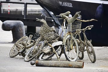 Aus dem Hafenbecken gefischte Fahrräder