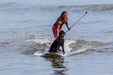 Philipines-Aurora-Surfhund