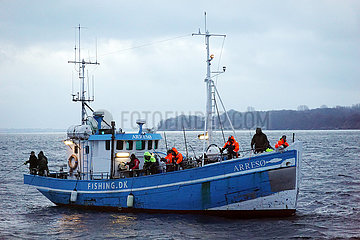 Helsingborg  Schweden  Fischerboot auf der Ostsee