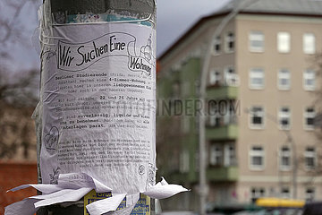 Berlin  Deutschland  Suchanzeige von Studierenden fuer eine Wohnung haengt an einem Laternenpfahl