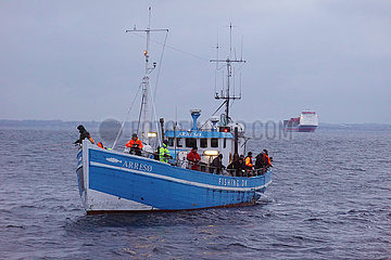 Helsingborg  Schweden  Fischerboot auf der Ostsee