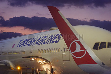 Istanbul  Tuerkei  Winglet und Flugzeug der Turkish Airlines