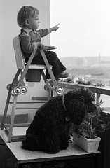 Magdeburg  Deutsche Demokratische Republik  Kleinkind sitzt in einem Hochstuhl mit einem Hund auf einem Tisch und schaut ueber die Balkonbruestung