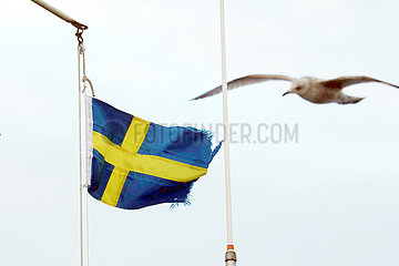Helsingborg  Schweden  Nationalfahne von Schweden und Moewe