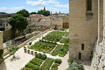 France. Vaucluse (84). Avignon. Palais des Papes. The hanging gardens  newly refurbished  are open to the public.