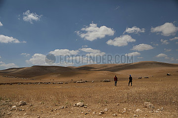 Midost-Hebron-Masafer Yatta Region