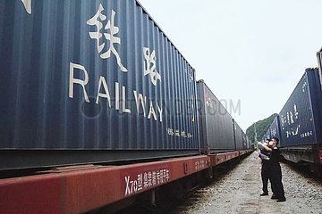 China-Guangxi-ASEAN-TCM-Train-Arrival (CN)