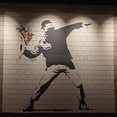 The Mystery of Banksy - An Unauthorized Exhibition -FLOWER THROWER
