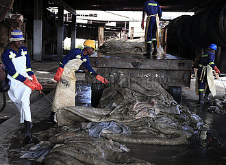 Simbabwe-Bulawayo-Leather-Industrie