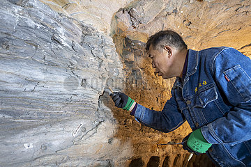 China-Shanxi-Datong-Yungang Grotten-Relics Restoration (CN)