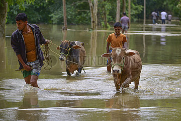 Indien-Assam-Nagaon-Flood