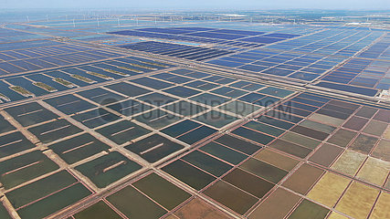 China-Shandong-Zhanhua-Salz-Harvest (CN)