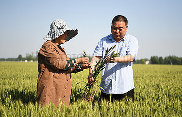 China-Henan-Xinxiang-Yanjin-Farmland Management (CN)