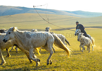 China-Inner Mongolia-Xilingol-Herdsman (CN) China-Inner Mongolia-Xilingol-Herdsman (CN)