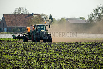 Deutschland  Barenburg - Landwirt pfluegt sein Feld mit dem Traktor