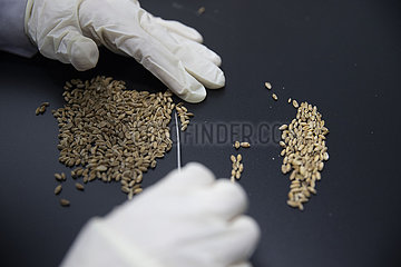 CHINA-HEILONGJIANG-SEED BANK-COLD-REGION CROPS-EXPANSION (CN)