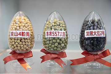 China-Heilongjiang-Seed Bank-Cold-Region-Pflanzen-Expansion (CN)