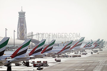 Dubai  Vereinigte Arabische Emirate  Flugzeuge der Emirates Airways parken vor dem Terminal des Dubai International Airport