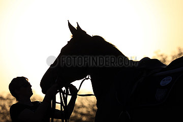 Doha  Silhouette von Frau und Pferd