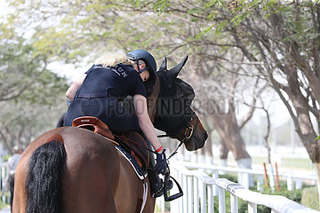 Doha  Reiterin gurtet vor einem Ausritt nach