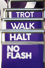 Doha  Aufsteller mit den Worten: Trot  Walk  Halt und No Flash