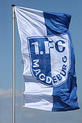 Magdeburg  Deutschland  Fahne des 1. FC Magdeburg