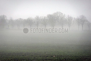 Schependorf  Deutschland  Nebel am Morgen ueber einem Feld