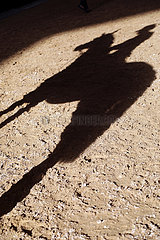 Doha  Reiter und Pferd werfen einen Schatten auf den Boden