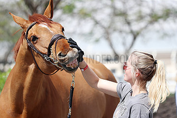 Doha  Pferdepflegerin streichelt ihr Pferd