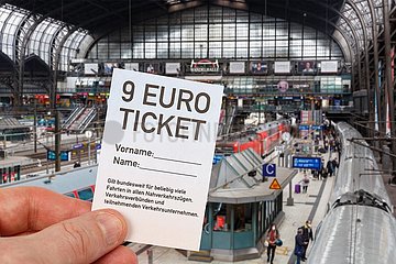 9-Euro-Ticket 9 Euro Ticket Fotomontage im Bahnhof Hauptbahnhof Hamburg  Deutschland