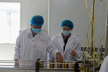 China-Xinjiang-Yumin-Safflower-Industrie (CN)