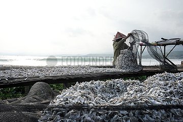 INDONESIA-WEST JAVA-DAILY LIFE-FISH DRYING