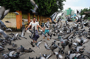 Yangon  Myanmar  Ein Mann verscheucht einen Taubenschwarm von einer Strasse