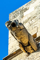 Spain  island of Majorca. Gargoyles of the Cathedral of Santa Maria in Palma de Mallorca (13th century)  rehabilitated at the end of the 19th century by Antoni Gaudi