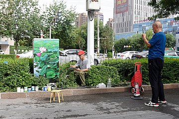 China-Xinjiang-Artsy-Verkehrsbox (CN)