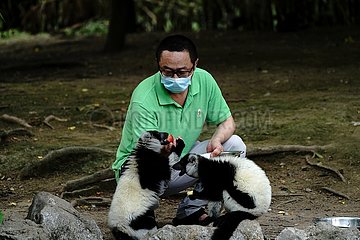 China-Shanghai-Zoo-Reopening (CN)
