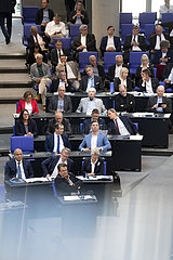 AfD  Bundestag 100 Milliarden Sondervermoegen