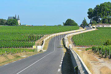 Gironde (33). Bordelais. Medoc. The wine route  here the D2  near the vineyards of the Chateau Baron-Pichon-Longueville.