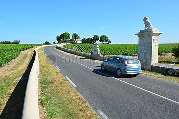 Gironde (33). Bordelais. Medoc. The wine route  here the D2  near the vineyards of the Chateau Baron-Pichon-Longueville.
