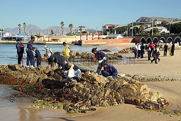 South Africa-Cape Town-World Oceans-Tag-Strach-Aufräumarbeiten