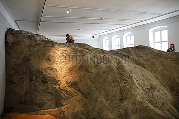 Ausstellung While the Dust Quickly Falls   Kunsthaus Dresden