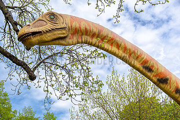 Deutschland  Hannover - Modell eines Dinosauriers (Seismosaurus) des Landesmuseum Hannover