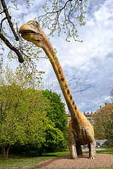 Deutschland  Hannover - Modell eines Dinosauriers (Seismosaurus) des Landesmuseum Hannover