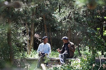 CHINA-GANSU-OLD MEN-TREE PLANTING (CN)